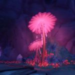 Der Holunderwald - Guide zur Quest