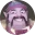 Kenli