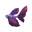 Schimmerflosse