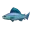 Regenbogenforelle