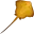 Morgendämmerrochen