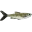Fleckenhäsling