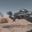 Cutlass Steel