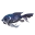 Knurriger Koi