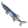 Barrakuda
