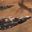 Starlancer MAX