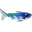 Wolkenfisch