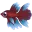 Palian-Betta