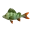 Kilima-Rotflosse