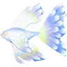 Tooltip Bild