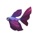 Tooltip Bild