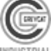 Tooltip Bild