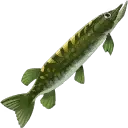 Tooltip Bild