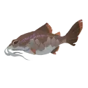 Tooltip Bild