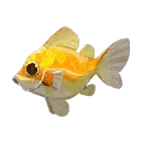 Tooltip Bild